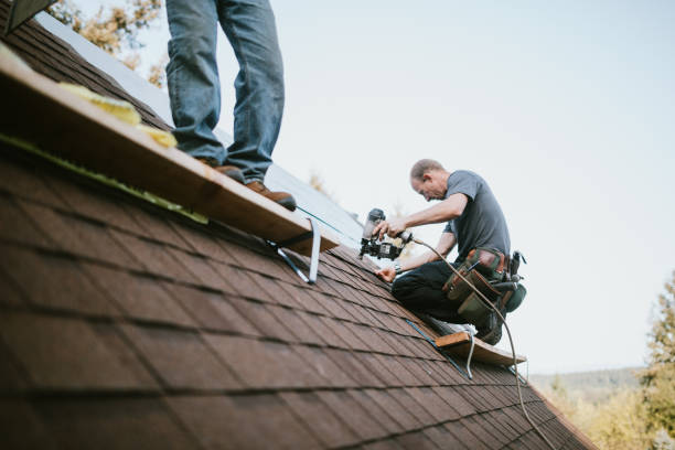Best Roof Gutter Cleaning  in Meadowlakes, TX